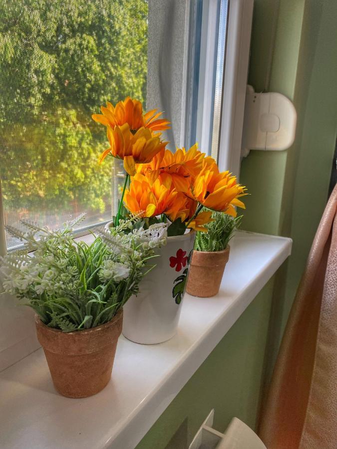 Apartman Diana Сремска Митровица Екстериор снимка